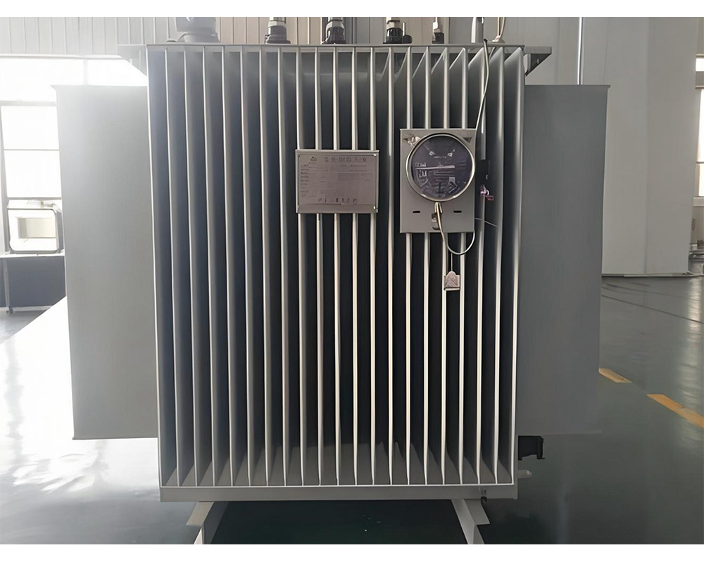 10kV�ͽ�ʽ��ѹ��